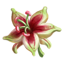 crop_general_flower_passion_icon-c1e94dfa54475aef37d4b8a80b42a582.png (128 × 128)