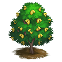 tree_general_wattle_cootamundra_icon-4e8ca510a3f0617768b9164ae07b89cd.png (128 × 128)
