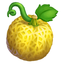 Galia Cantaloupe