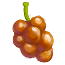 Guadalupe Palm
